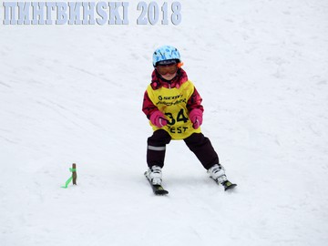ПингвинSki 2018